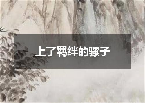 上了羁绊的骡子