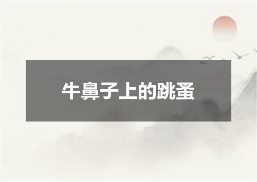 牛鼻子上的跳蚤