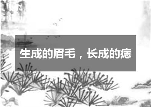 生成的眉毛，长成的痣