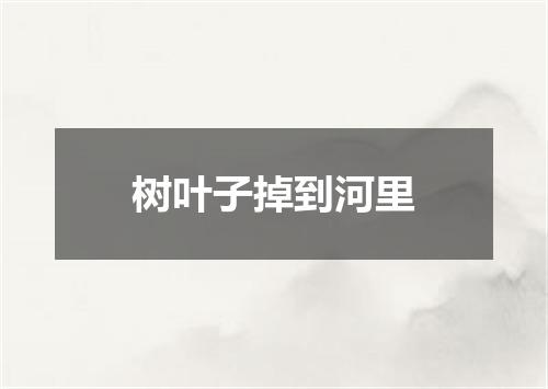 树叶子掉到河里