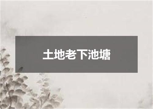 土地老下池塘