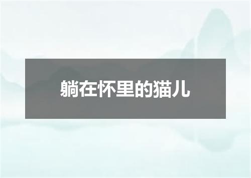 躺在怀里的猫儿