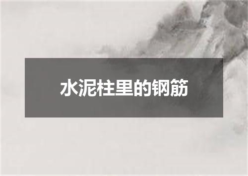 水泥柱里的钢筋