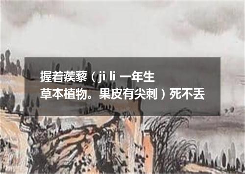 握着蒺藜（ji li 一年生草本植物。果皮有尖刺）死不丢