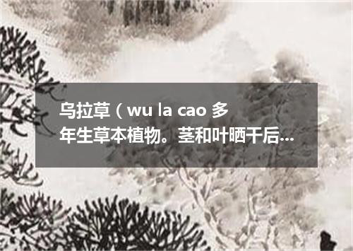 乌拉草（wu la cao 多年生草本植物。茎和叶晒干后垫在鞋或靴子里可以保暖）搀鸡毛