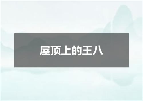 屋顶上的王八