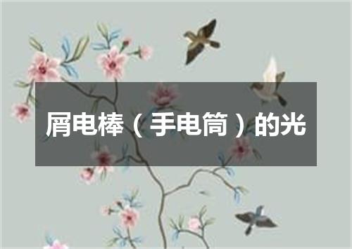 屑电棒（手电筒）的光