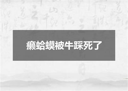 癞蛤蟆被牛踩死了