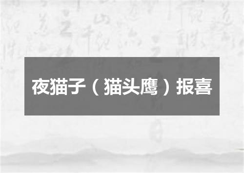 夜猫子（猫头鹰）报喜