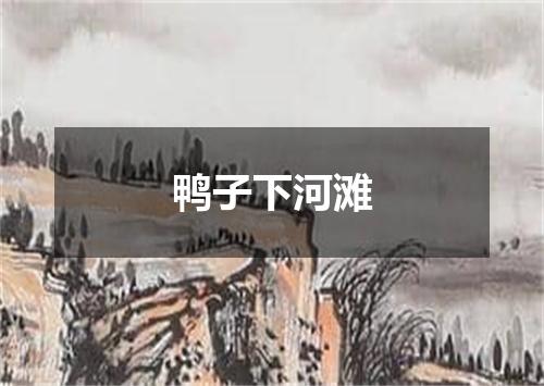 鸭子下河滩