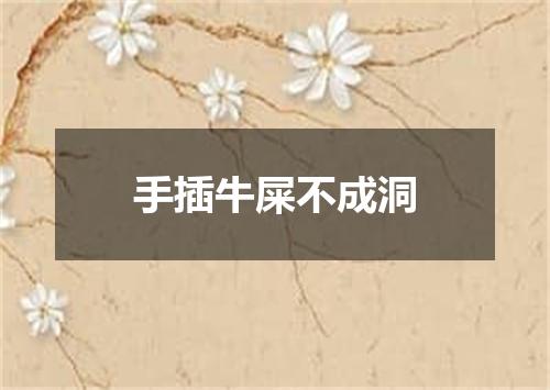 手插牛屎不成洞