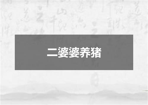 二婆婆养猪
