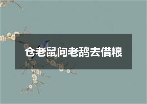 仓老鼠问老鸹去借粮