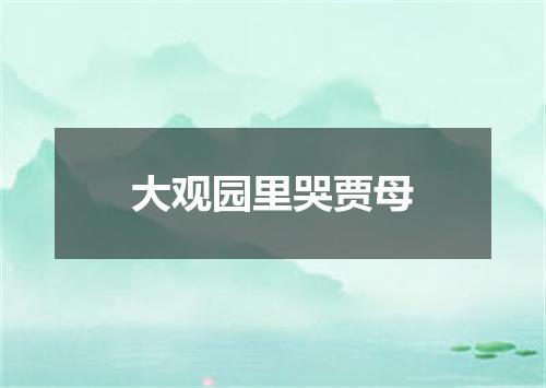 大观园里哭贾母