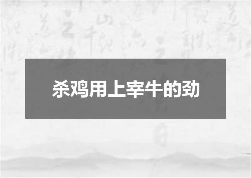 杀鸡用上宰牛的劲