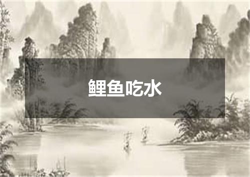 鲤鱼吃水