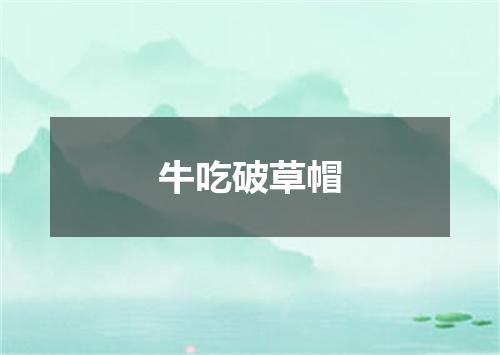 牛吃破草帽