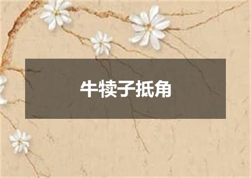 牛犊子抵角