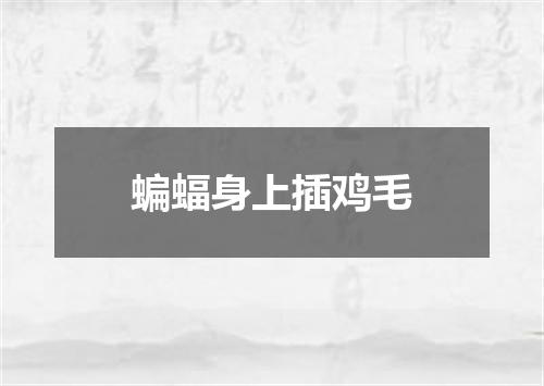 蝙蝠身上插鸡毛