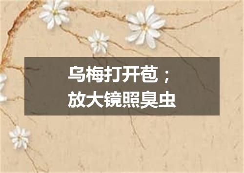 乌梅打开苞；放大镜照臭虫