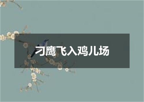 刁鹰飞入鸡儿场