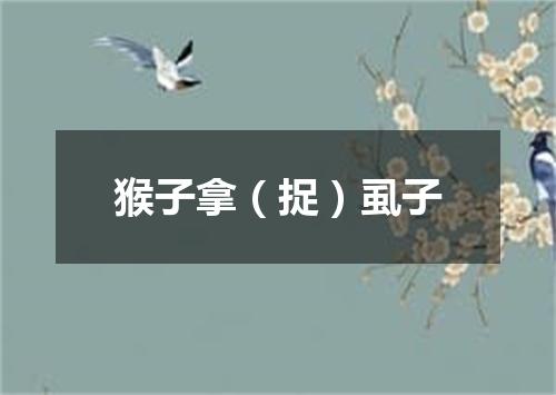 猴子拿（捉）虱子