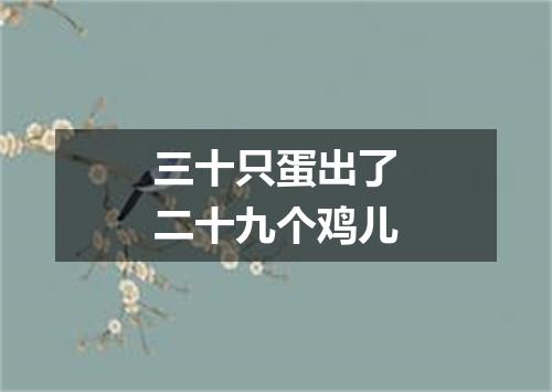 三十只蛋出了二十九个鸡儿