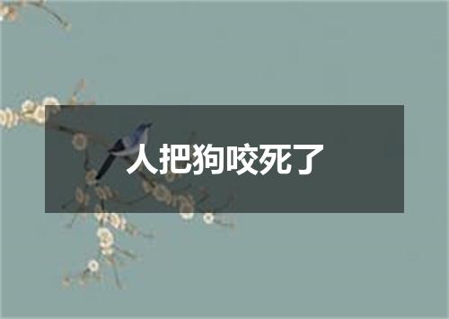 人把狗咬死了