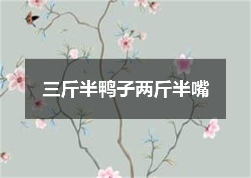 三斤半鸭子两斤半嘴