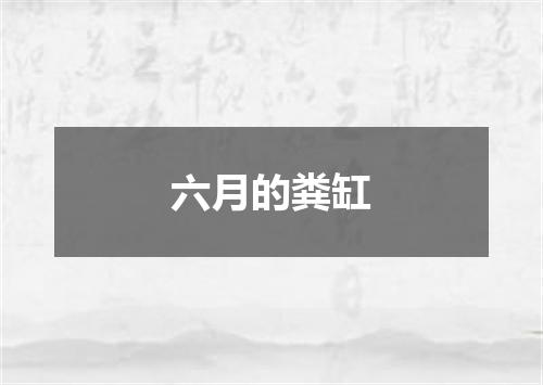 六月的粪缸