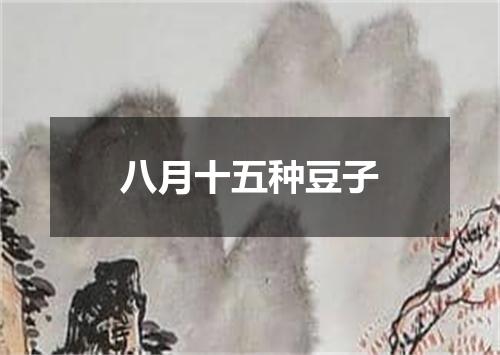 八月十五种豆子