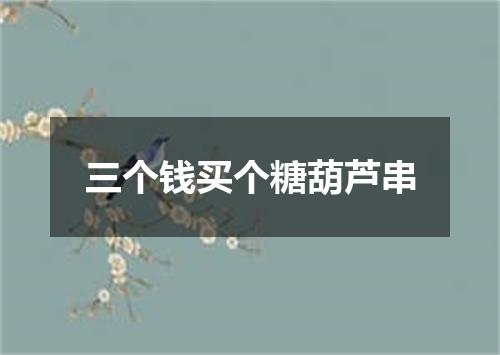 三个钱买个糖葫芦串