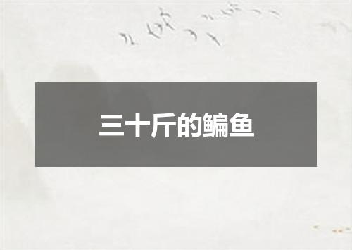三十斤的鳊鱼