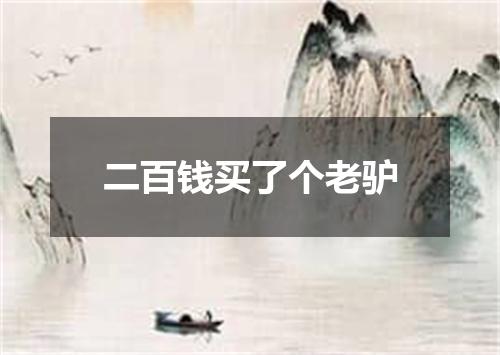 二百钱买了个老驴