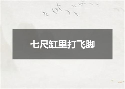 七尺缸里打飞脚