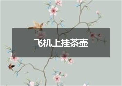 飞机上挂茶壶