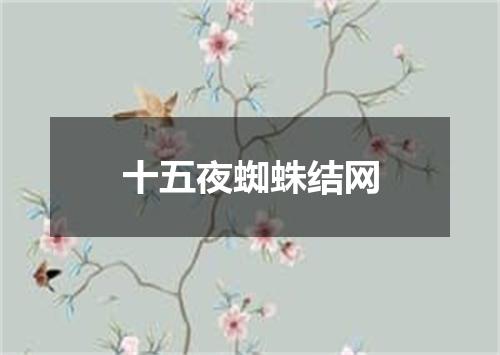 十五夜蜘蛛结网