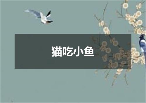 猫吃小鱼