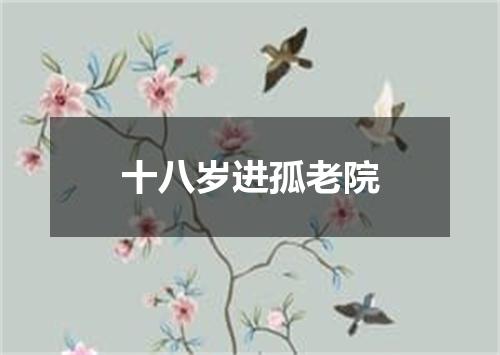 十八岁进孤老院