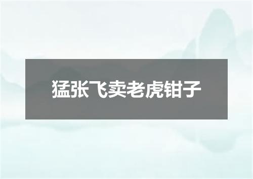 猛张飞卖老虎钳子