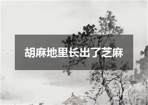 胡麻地里长出了芝麻