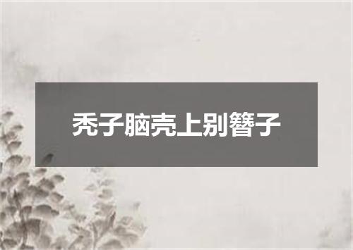 秃子脑壳上别簪子