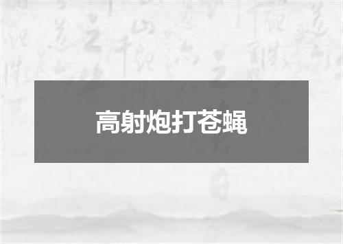 高射炮打苍蝇