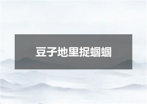 豆子地里捉蝈蝈