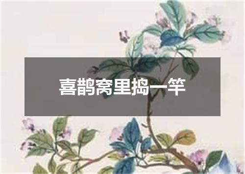 喜鹊窝里捣一竿