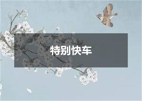 特别快车