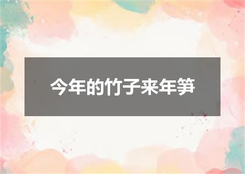 今年的竹子来年笋