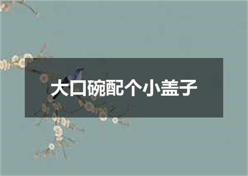 大口碗配个小盖子