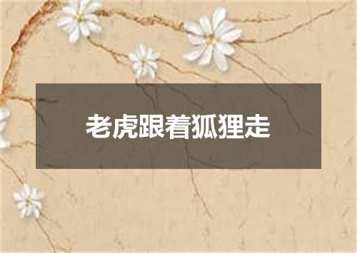 老虎跟着狐狸走