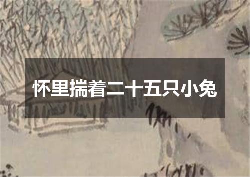 怀里揣着二十五只小兔